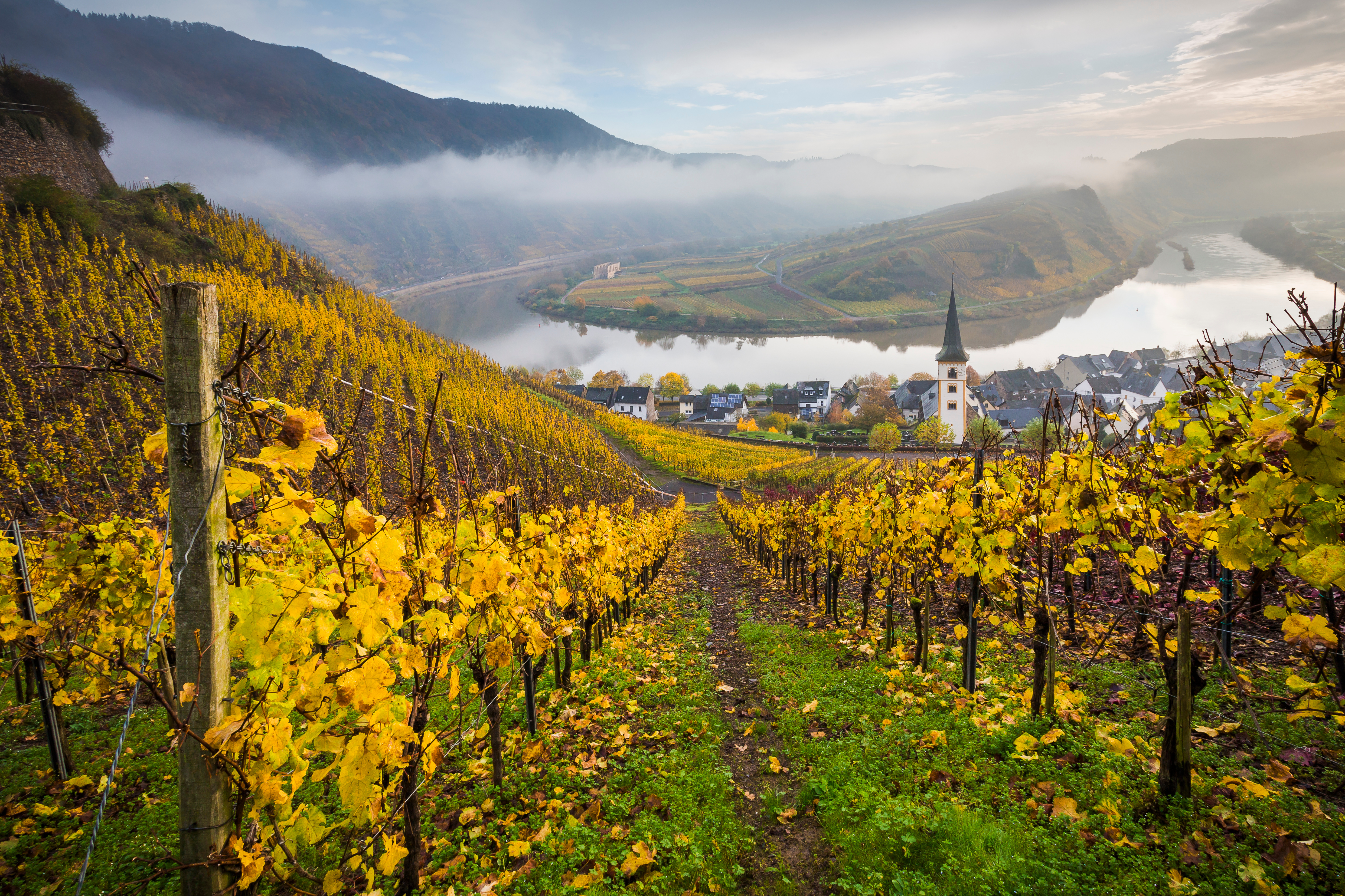 AdobeStock_171037080 AdobeStock_171037080